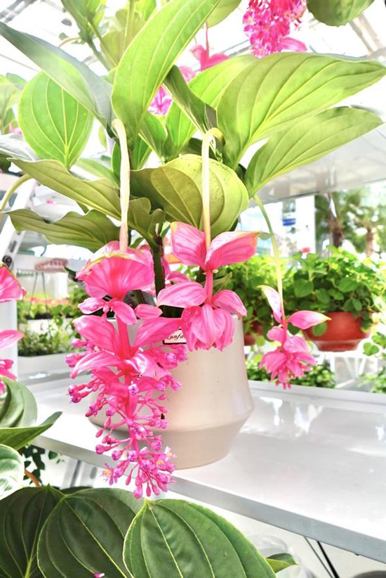 新春走基层｜为品质生活“加点料” 产业升级开新篇