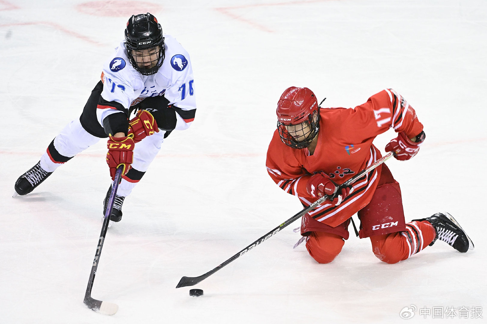 此次冰球青年组共有参赛运动员333名,男子组北京队,陕西队,黑龙江队和