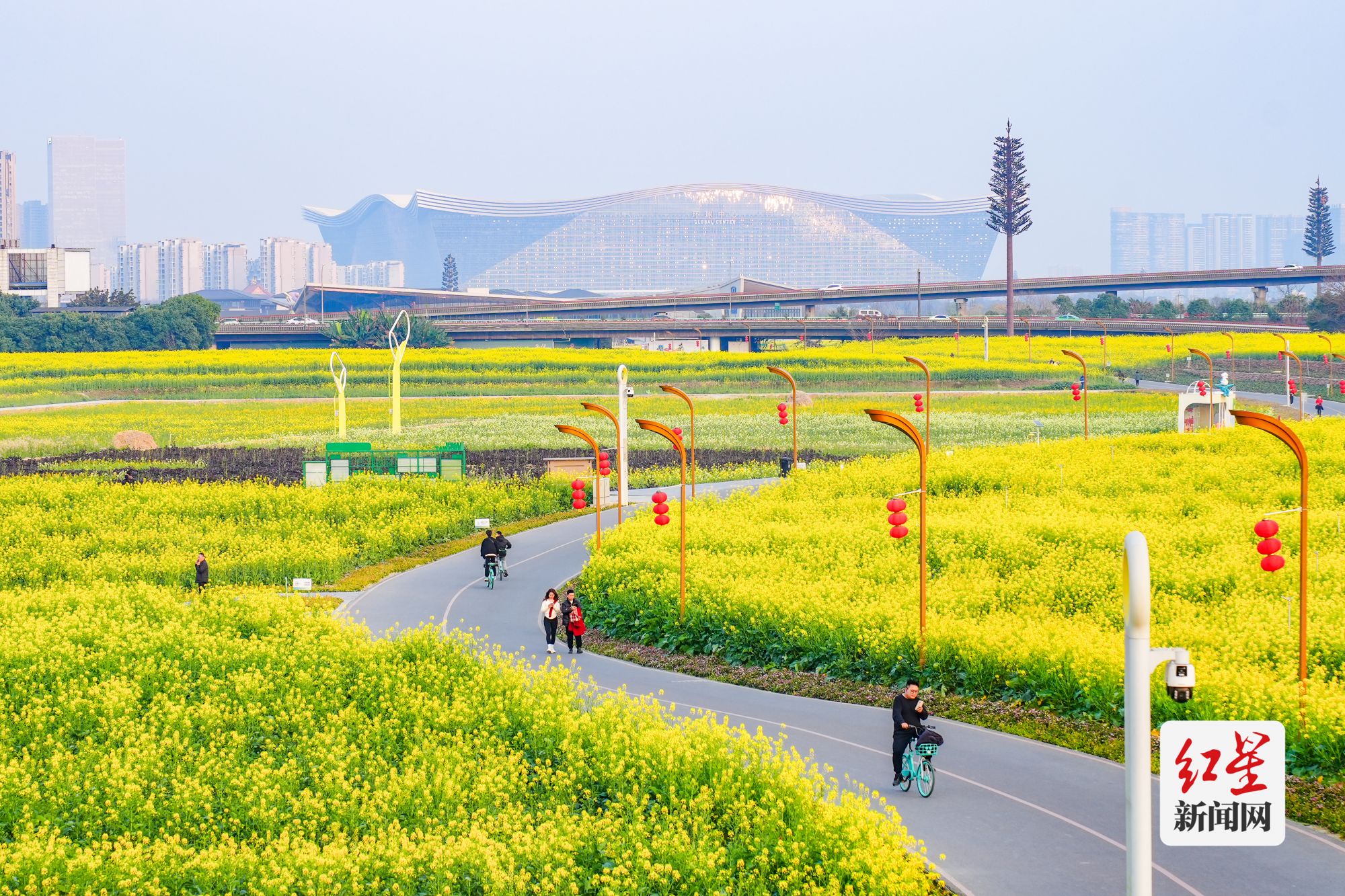 一起去绿道打卡油菜花海 感受春天的色彩