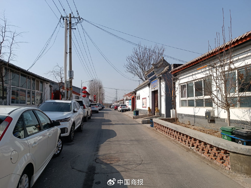 记者手记:龙年再访龙头村,乡村振兴新样本