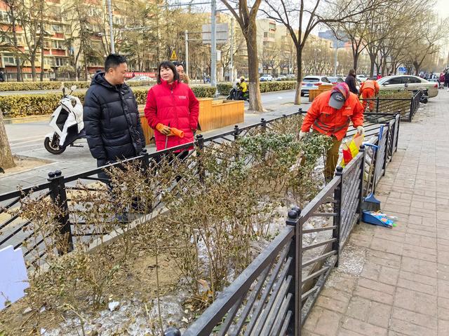 北京丰台西罗园街道开展环境卫生整治行动,辖区环境提升明显|北京市_
