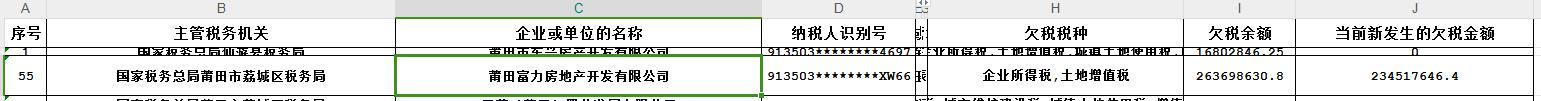 截图来源：国家税务总局福建省电子税务局网站