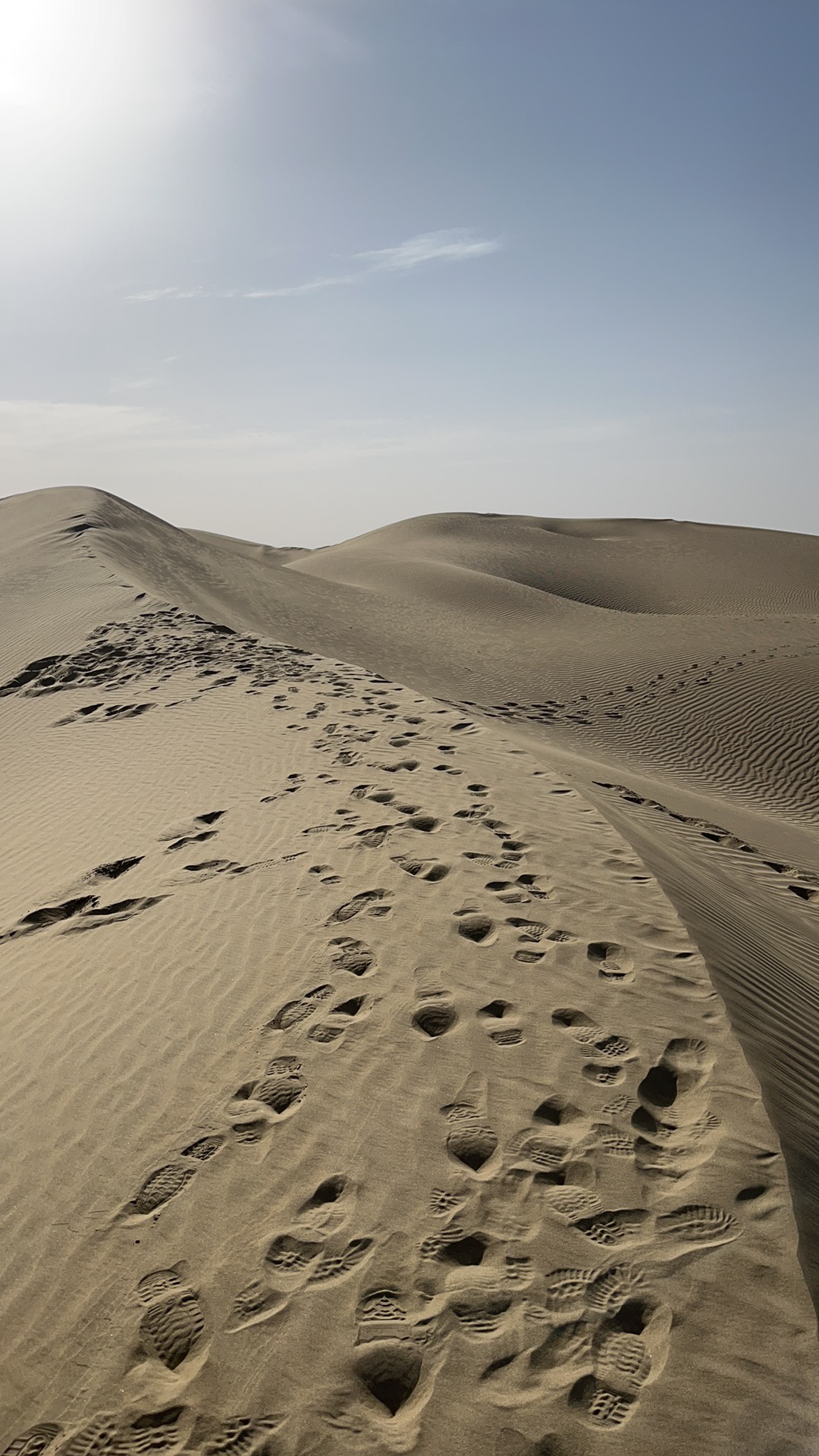 跟着路碑进沙漠我是电信人我在塔克拉玛干里过除夕