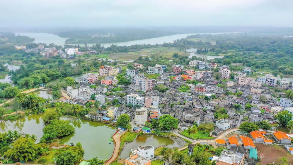 日前,空中俯瞰美不胜收的龙华区龙泉镇椰子头村委会涵泳村.