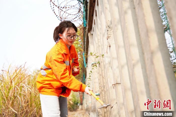 (新春走基层)赣鄱z世代:"95后"女桥隧工成长记|微信_新浪财经_新浪网