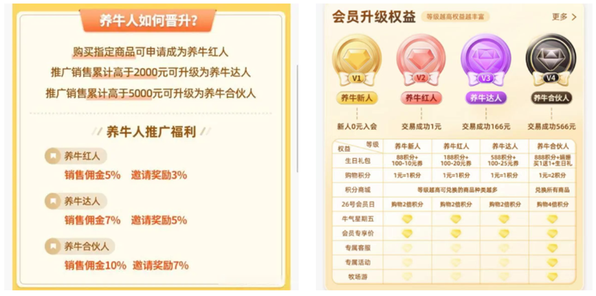 左图为认养一头牛原会员体系 图自新京报；右图为现有会员体系 截图自认养一头牛公众号