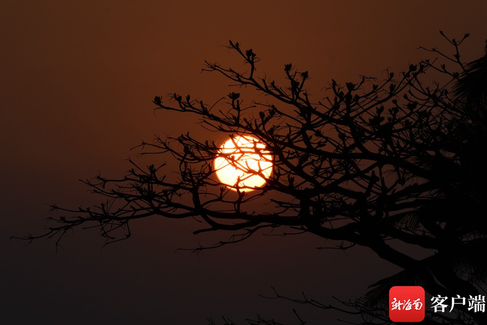 2月21日清晨,海口五源河国家湿地公园入海口的日出美景.记者 陈卫东摄