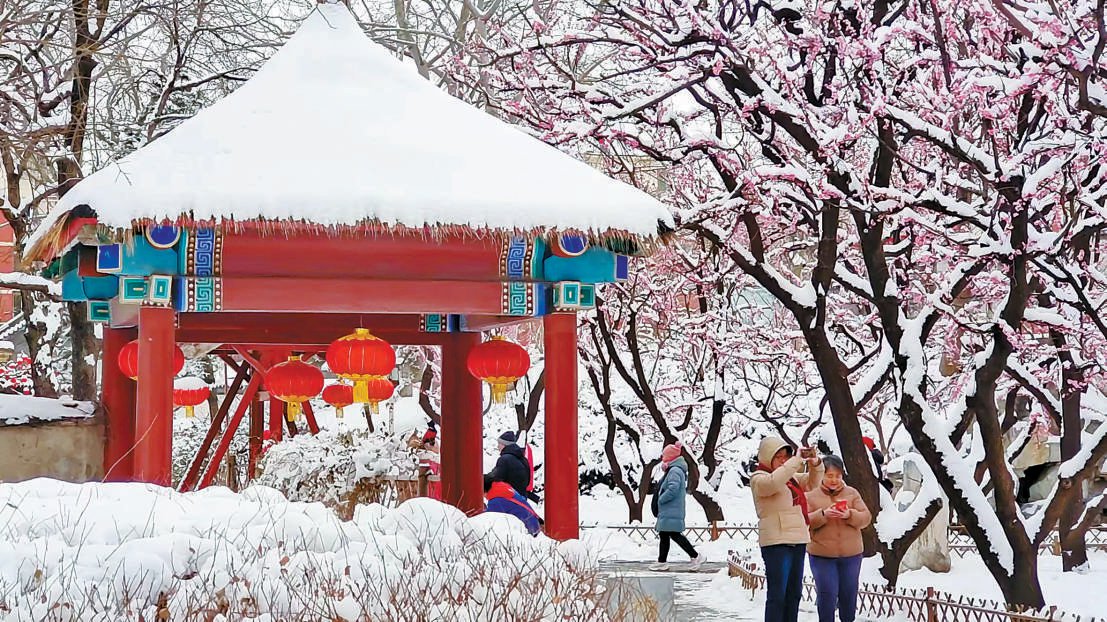 一场春雪过后，北京大观园再现《红楼梦》中的经典美景，人们踏雪寻梅，乐享雪趣。 鲁金富摄