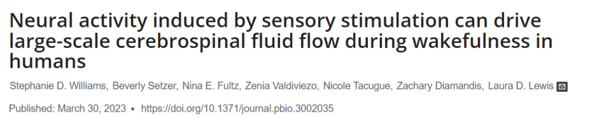 视觉刺激让脑脊液“奔腾”起来！科学家发现，清醒状态下的神经活动可以影响脑脊液流动，患有助于阿尔茨海默病等神经类疾病的治疗