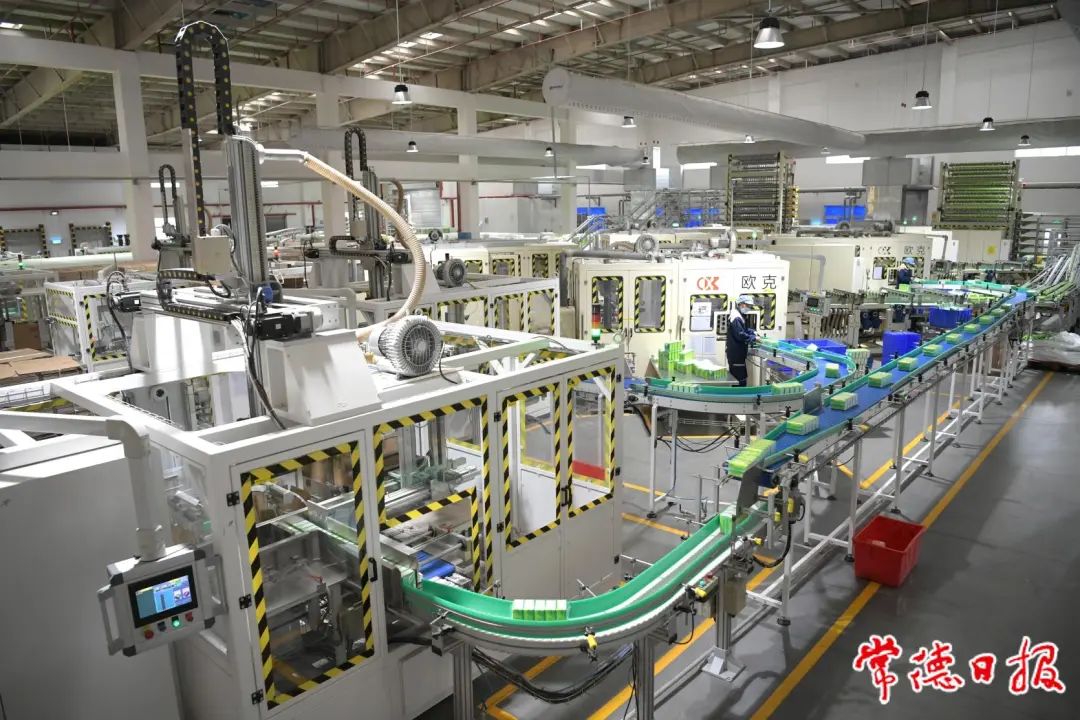 工人在湖南恒安纸业有限公司生产车间忙碌
