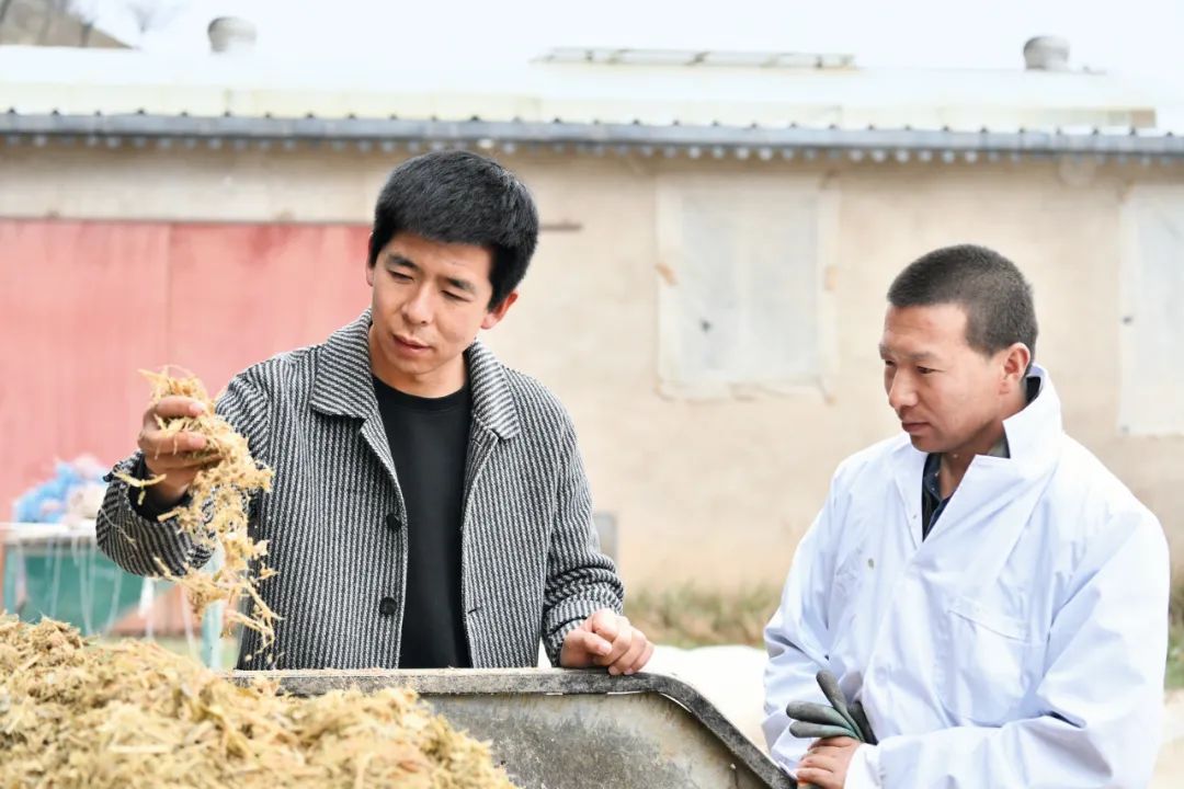 户均增收2000元以上……对于甘肃省临夏州东乡族自治县毛柴子村的村民