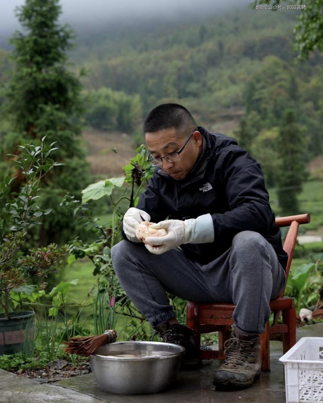 40岁前离开大厂,我做农民也能年入百万_新浪财经_新浪网