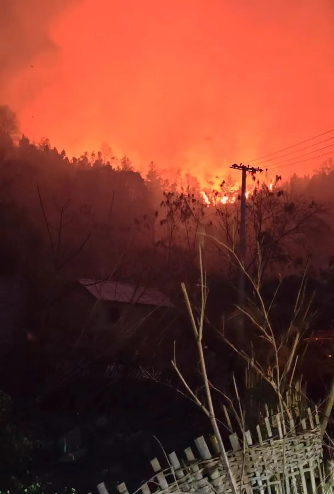 贵州山火五日:“无声”的万人救援|山火_新浪财经_新浪网