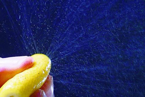 藏在橘皮里的秘密