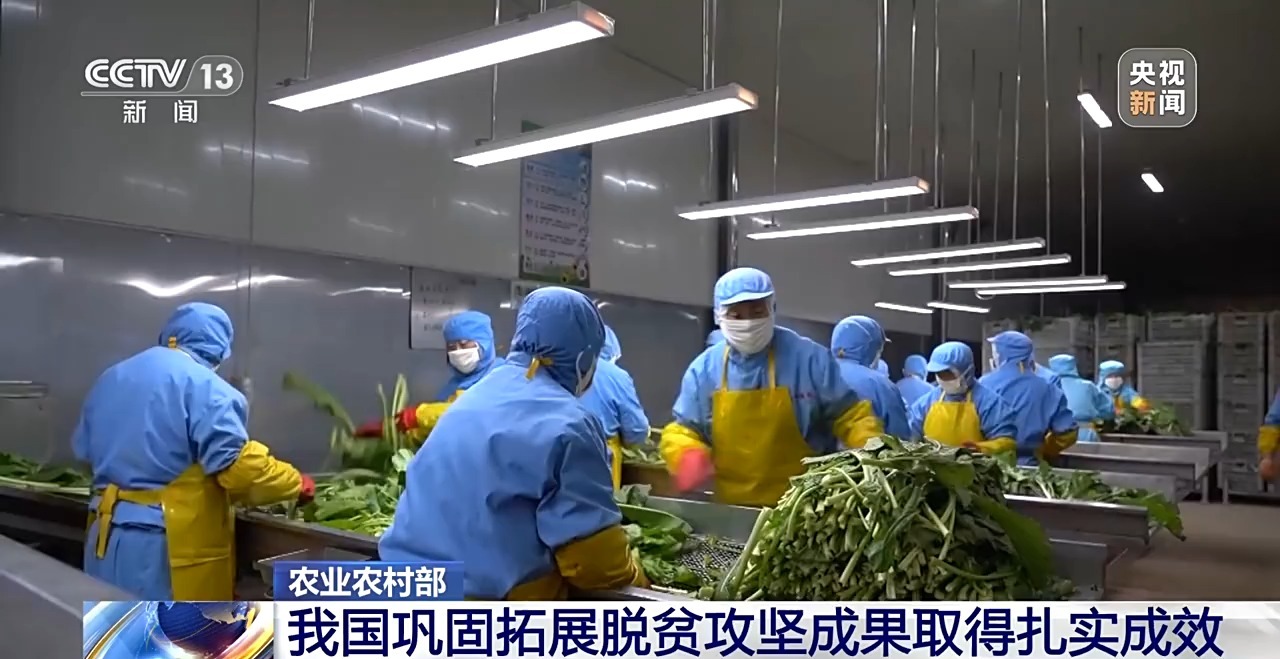 我国巩固拓展脱贫攻坚成果取得扎实成效_新浪财经_新浪网