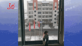 图片来源：黑龙江广播电视台