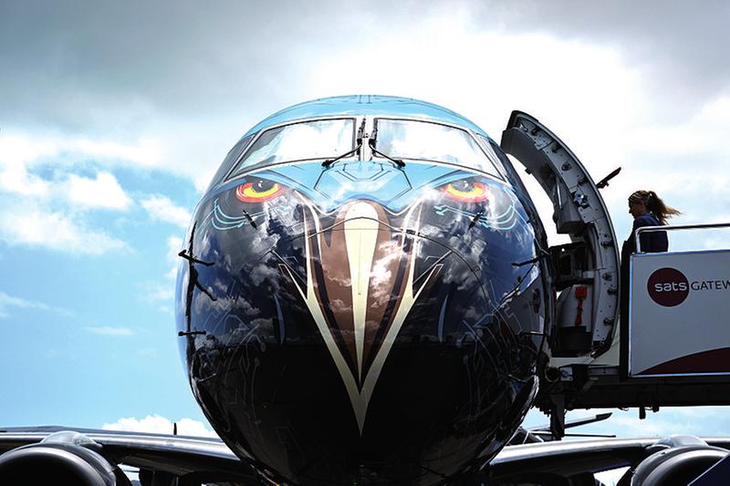 &nbsp;&nbsp;&nbsp;&nbsp;▲一架巴西航空工业公司e195-e2客机静态