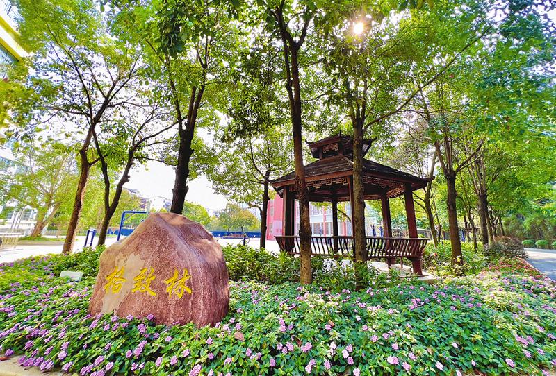 南宁市澳华小学校园里凤仙花开放,播撒着希望的色彩.本报记者潘浩 摄