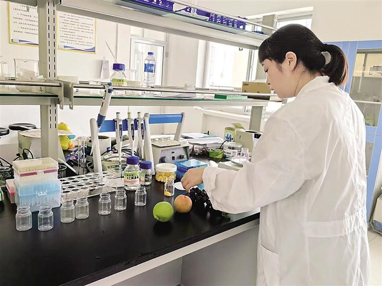 狗粮排行：甜蜜爱情的最新风向标