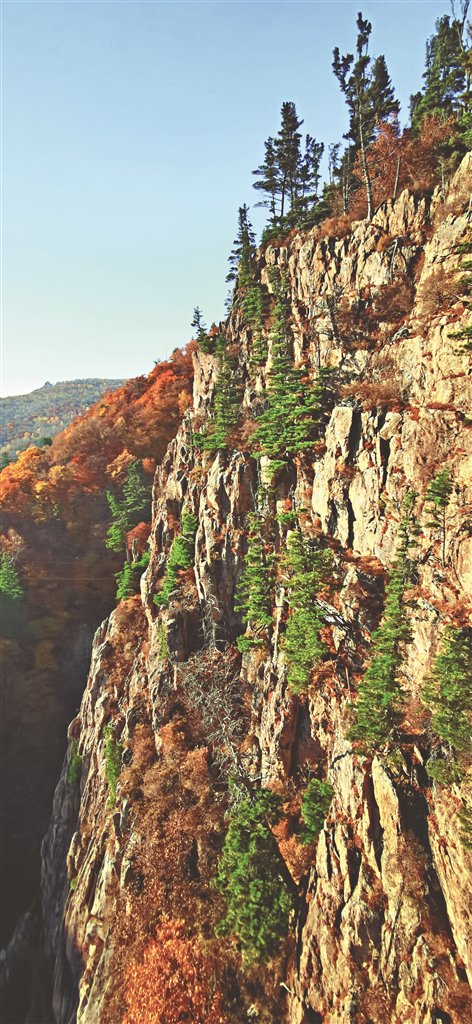 非虚构龙江故事|老蒲和他的"山"_新浪财经_新浪网