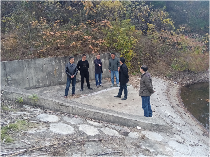 怀宁县凉亭乡:扎实开展春季水库大排查_新浪财经_新浪网