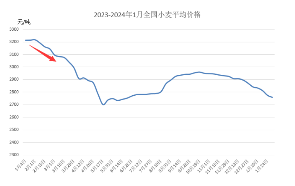 小麦涨价 “昙花一现”还是行情反转?