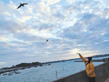 不一样的风景 不一样的年味|新加坡_新浪财经_新浪网