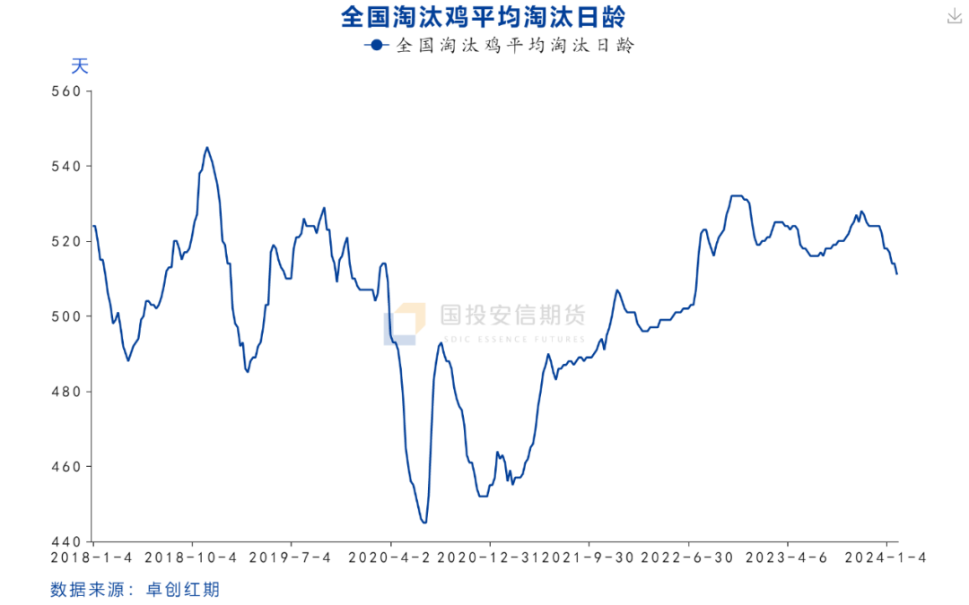 【鸡蛋专题】鸡蛋的熊市周期还没走完