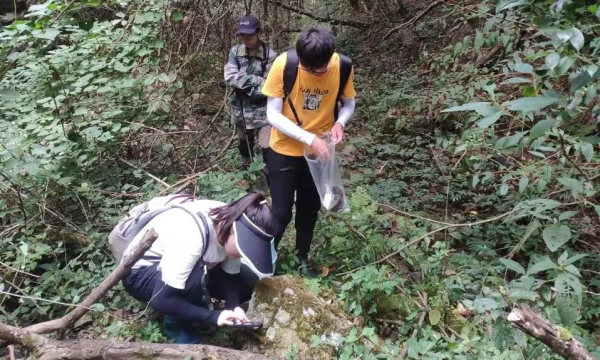 江山分局工作人员在进行生物多样性调查。