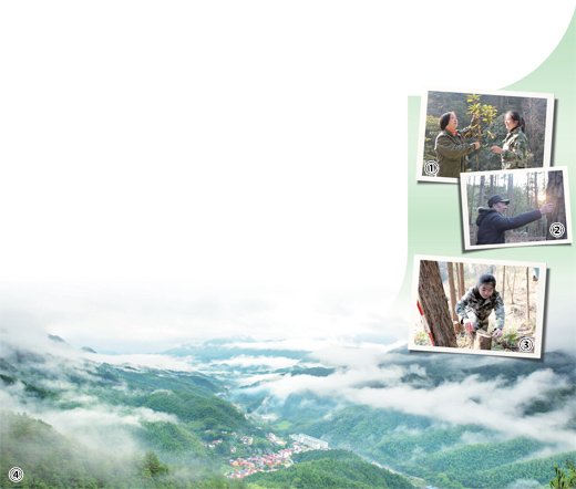 江西省宜春市靖安县三爪仑林场四代人一年接着一年