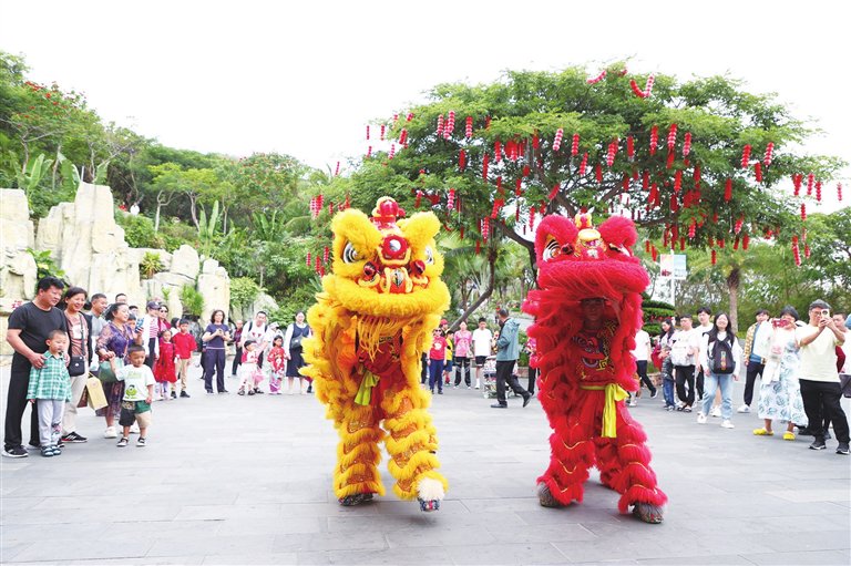 　　春节期间，鹿回头风景区张灯结彩，人气十足，精彩的舞狮表演让市民游客连连叫好。三亚日报记者 李学仕 摄