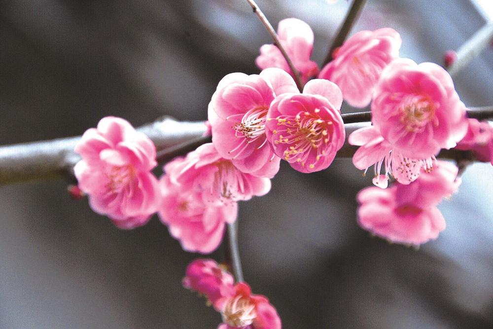 第十届 "育华中学杯" 作文大赛_新浪财经_新浪网