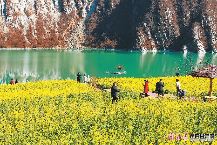 【图片新闻】文县境内油菜花竞相绽放|甘肃省_新浪财经_新浪网