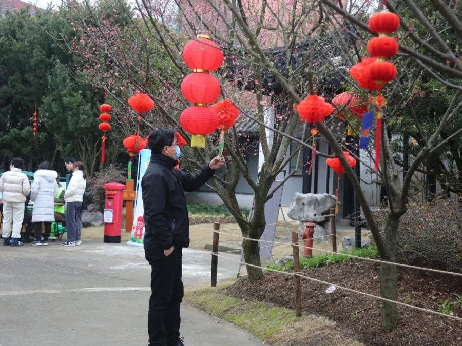 金山滨海,为期一个月的梅花节正当时,市民纷纷前往