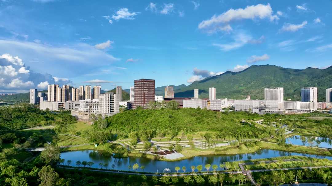 深圳坪山区:加速推动经济高质量发展