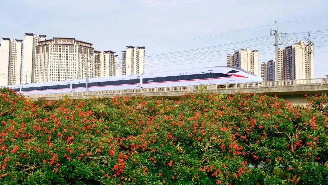 今年肇庆将开工建设新建珠海至肇庆高铁江门至珠三角枢纽机场段(肇庆