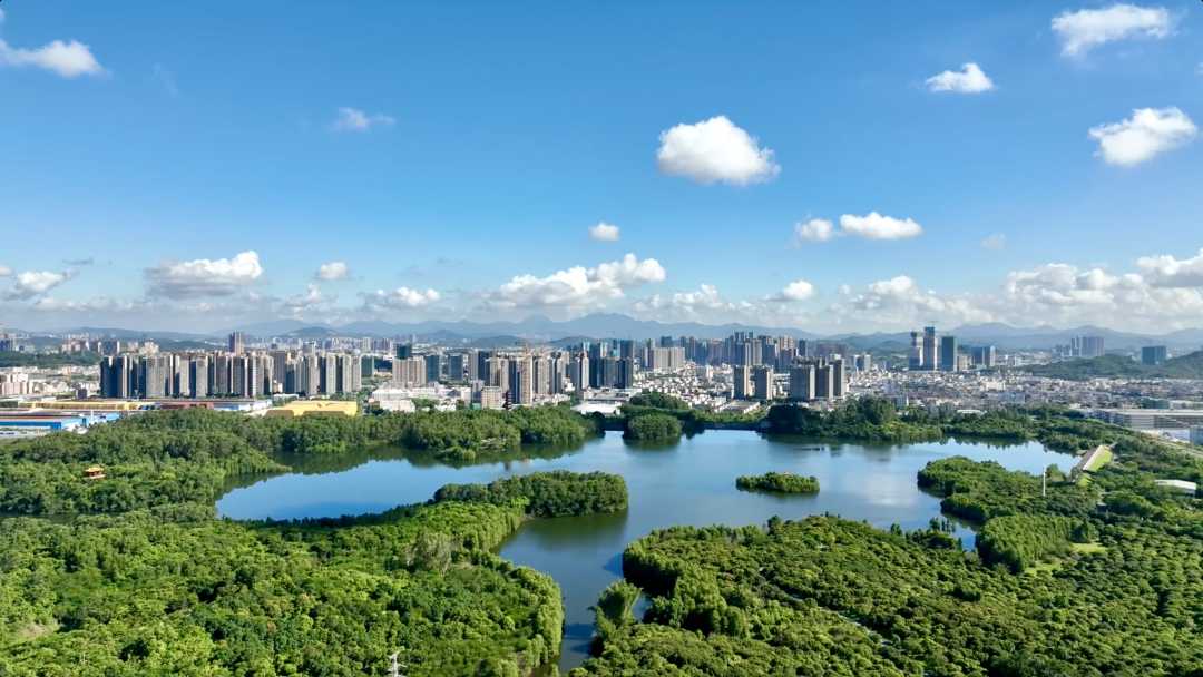 图为深圳市坪山城区一角.(资料图片)