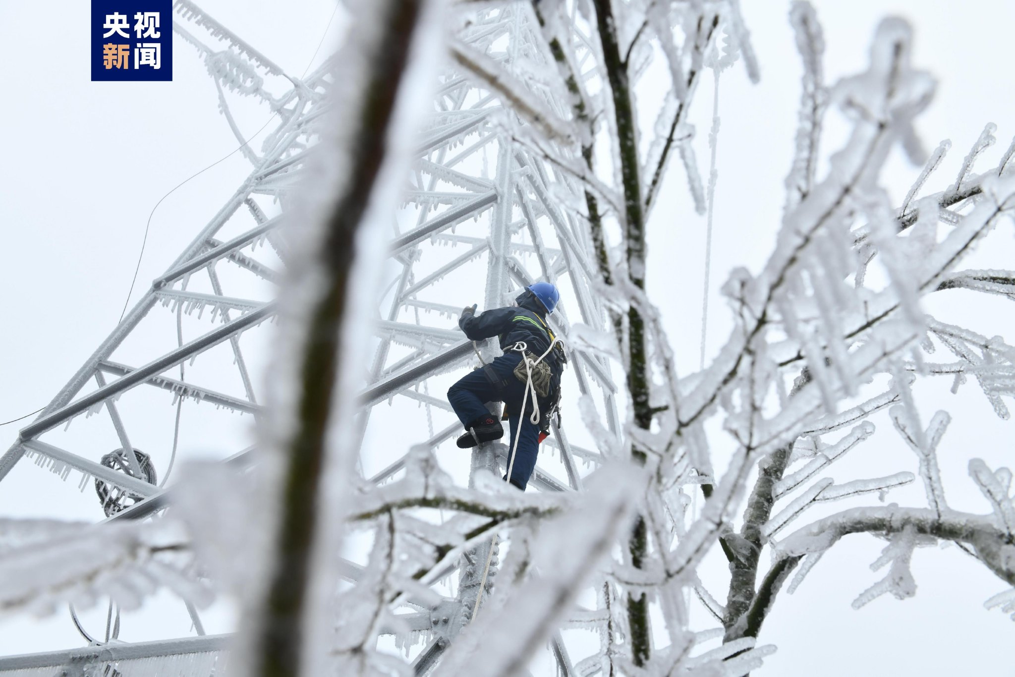寒潮致宁波山区电线覆冰,3100户用户停电|宁波市_新浪财经_新浪网