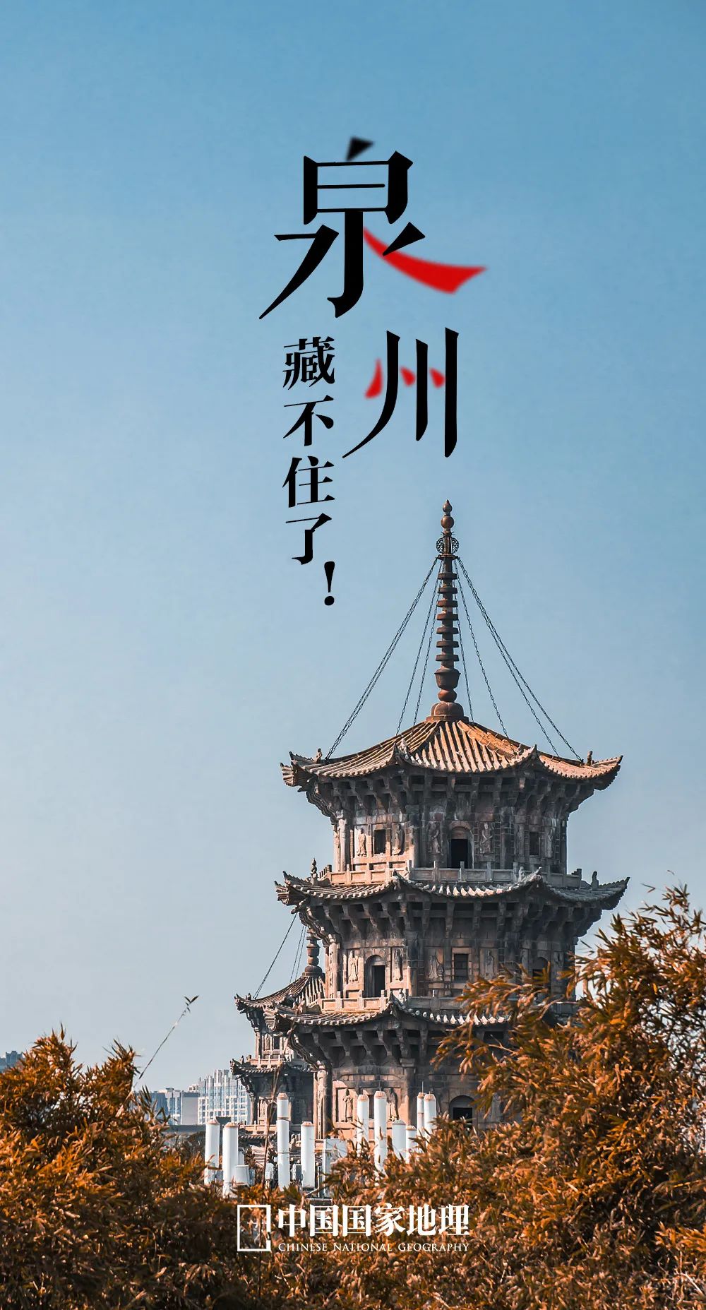 这座闽南城市,春节档赢麻了!_新浪财经_新浪网