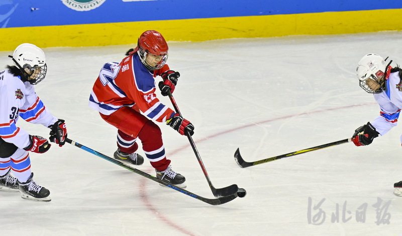 聚焦"十四冬"|河北队晋级青年组女子冰球四强_新浪财经_新浪网