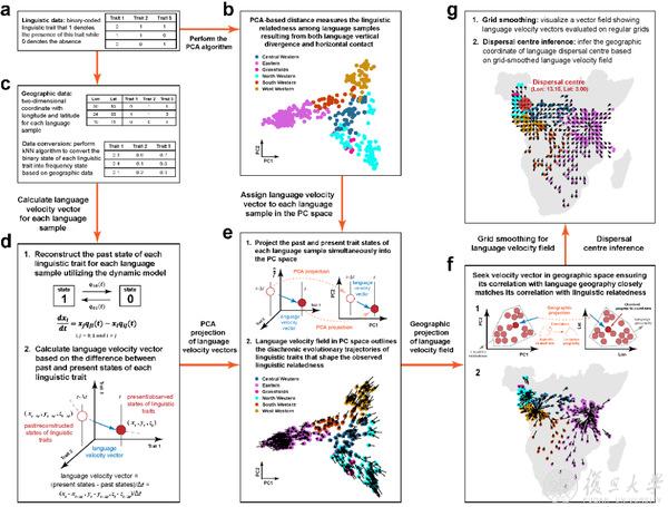 语言速度场估计法（Language velocity field estimation）的算法流程