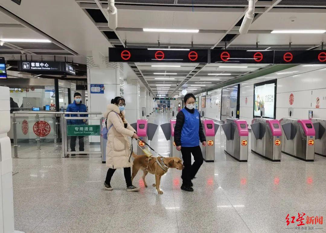 ▲导盲犬可进入地铁 