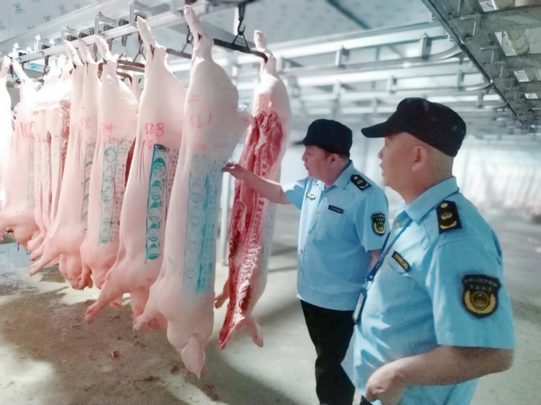 博白县农业综合行政执法大队:强化生猪屠宰行业执法检查,筑牢肉食品