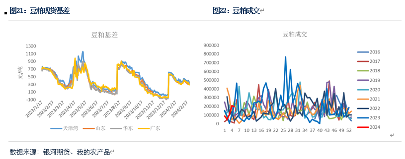 【粕类月报】春节期间外盘走弱 国内现货再迎压力
