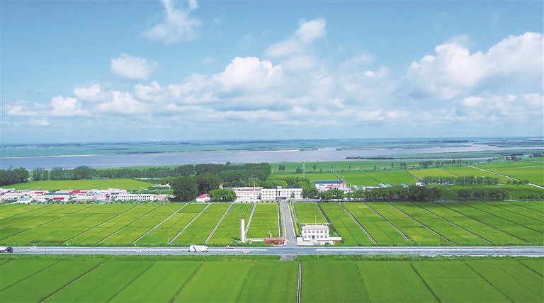 推进种业小镇建设 打造示范样板|佳木斯市_新浪财经_新浪网