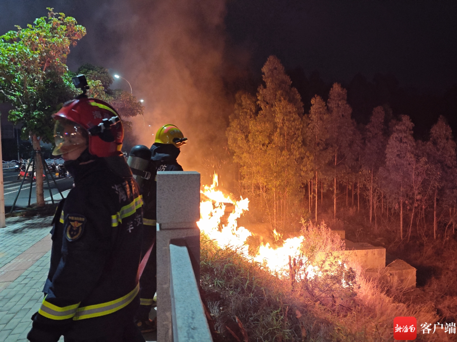 春季草地为何火灾频发?洋浦消防部门这么说→|消防_新浪财经_新浪网