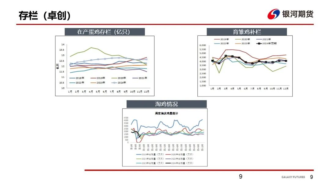 【鸡蛋周报】开市价格重心较低 等待市场变化