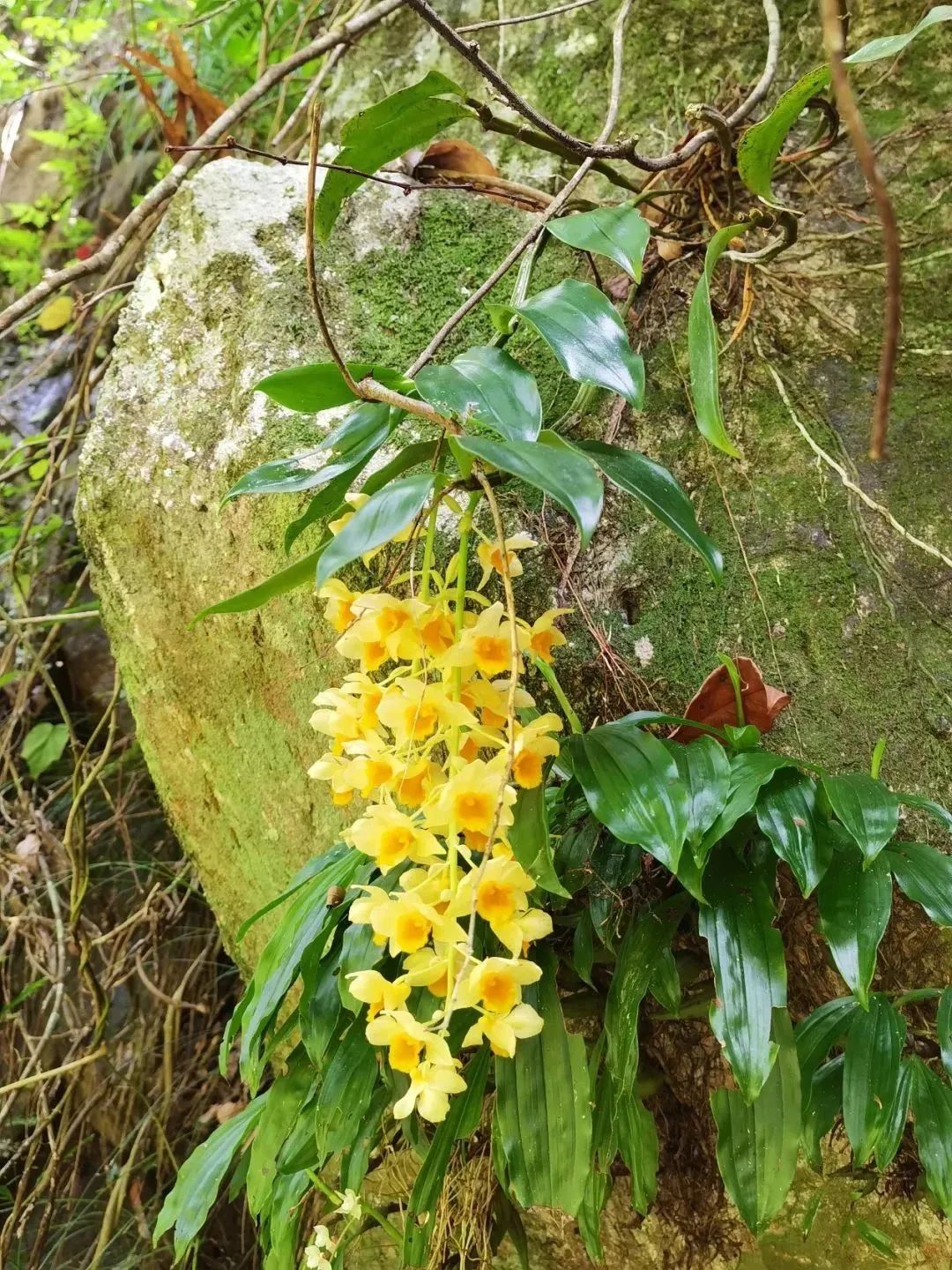在广东,首次发现05_新浪财经_新浪网