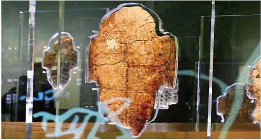 小王子卜辞展示"3000年前请假条"|文物_新浪财经_新浪网