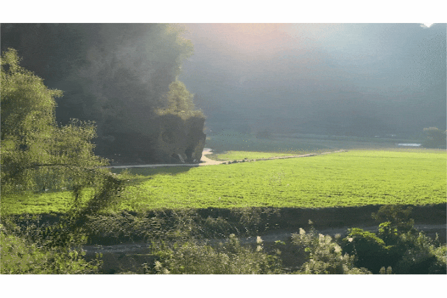 △望谟县六里村连绵八公里的良田绿意盎然。肇庆市融媒体中心记者  吴映霖  摄